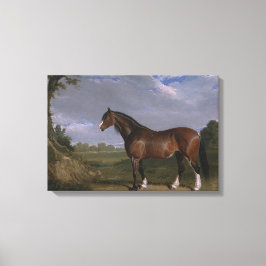 Clydesdale Stallion (Thoroughborn Horse) (djur) Canvastryck