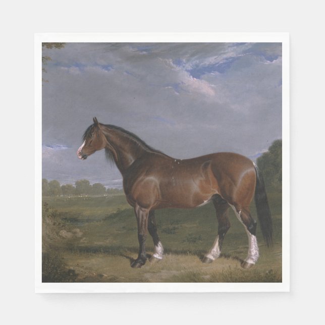 Clydesdale Stallion (Thoroughborn Horse) (djur) Pappersservett (Framsidan)