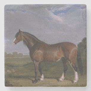 Clydesdale Stallion (Thoroughborn Horse) (djur) Stenunderlägg