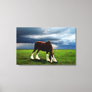 Clydesdale storm canvastryck