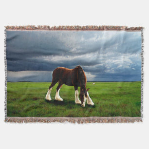 Clydesdale Storm Filt