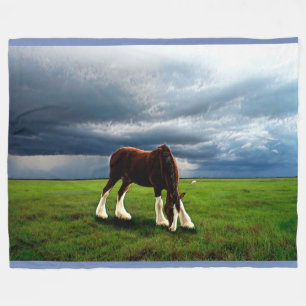 Clydesdale storm fleecefilt