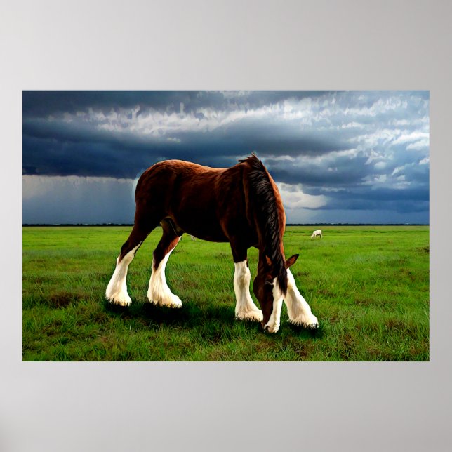Clydesdale Storm Poster (Framsidan)