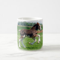 Clydesdale ungsto