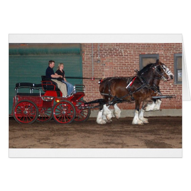 Clydesdales cart hälsningskort (Framsidan Horizontal)