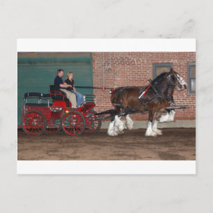 Clydesdales cart vykort