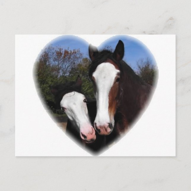Clydesdales i hjärtat vykort (Framsida)