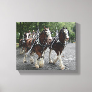 Clydesdales Pulling Carriage Canvastryck
