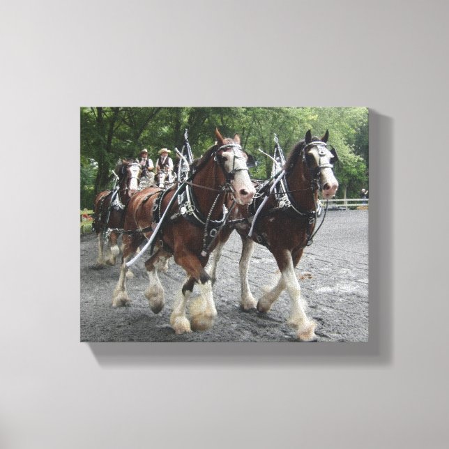 Clydesdales Pulling Carriage Canvastryck (Framsida)