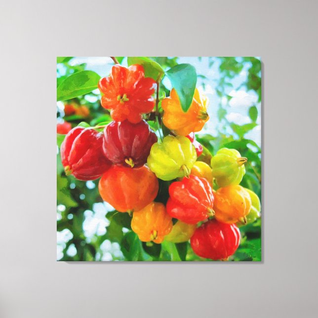 CM12135 - Pitanga, tropiska frukter Canvastryck (Framsida)