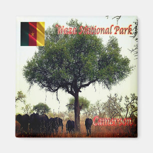 CM - Kamerun - Elephants in Waza National Park Magnet