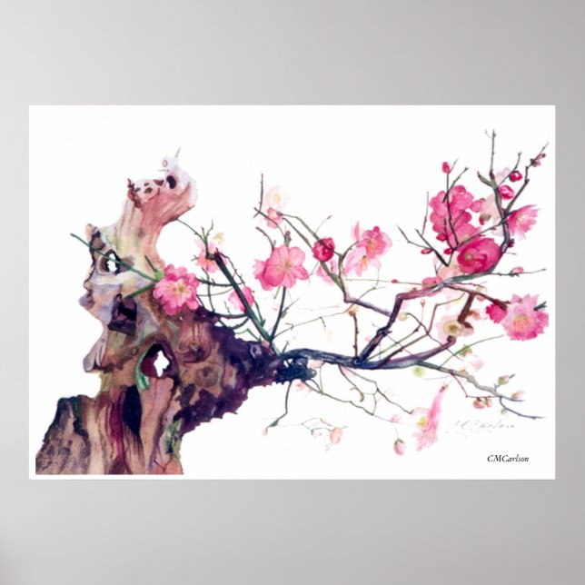 CMCarlson Cherry-Blommarna Poster (Framsidan)