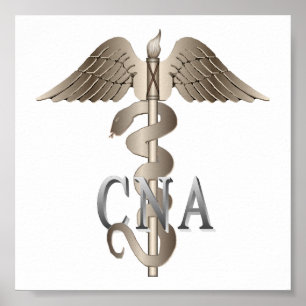 CNA Caduceus Poster