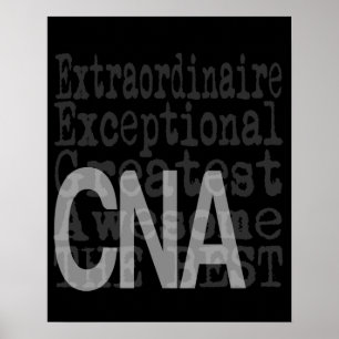 CNA Extraordinaire Poster