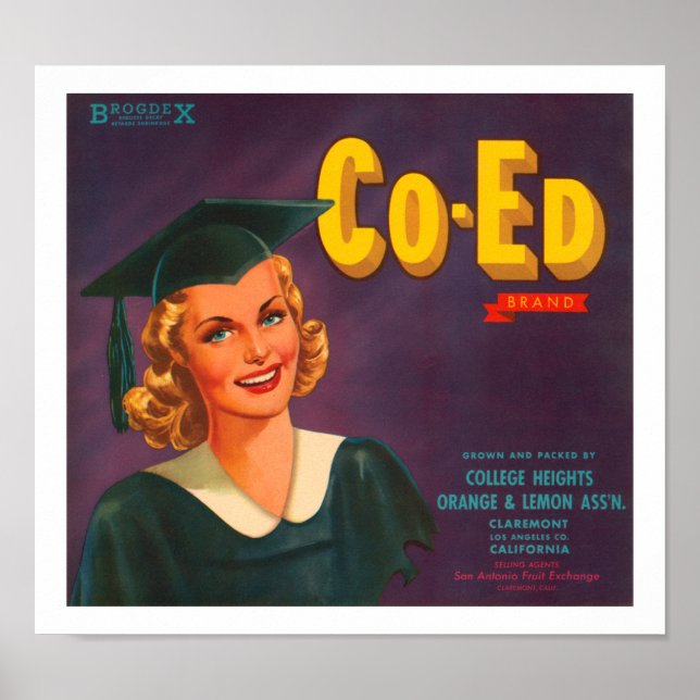 Co-Ed Brand Citrus Label Poster (Framsidan)