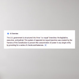 Co-Equal Branches of Government Poster