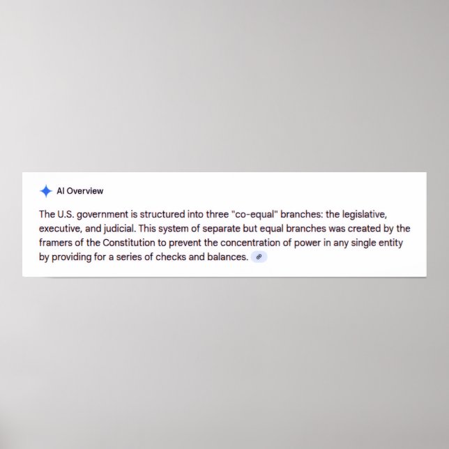 Co-Equal Branches of Government Poster (Framsidan)