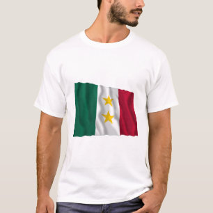 Coahuila y Tejas flagga T Shirt