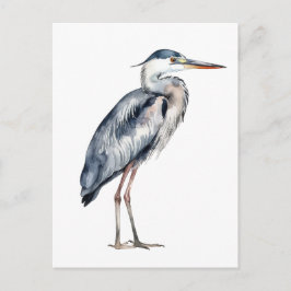 Coastal Blue Heron Bird Vykort