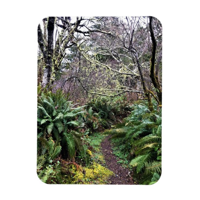 Coastal Forest Loop Trail, Cape Dissit, WA Magnet (Vertikal)
