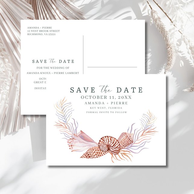 Coastal Seashell Beach Wedding Save the Date Meddelande Vykort (Coastal Seashell Beach Wedding Save the Date Announcement Postcard)