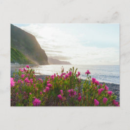 Coastal Sunset over São Vicente, Madeira Vykort