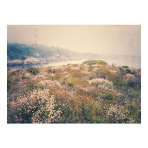 Coastal Wildblommor Fototryck