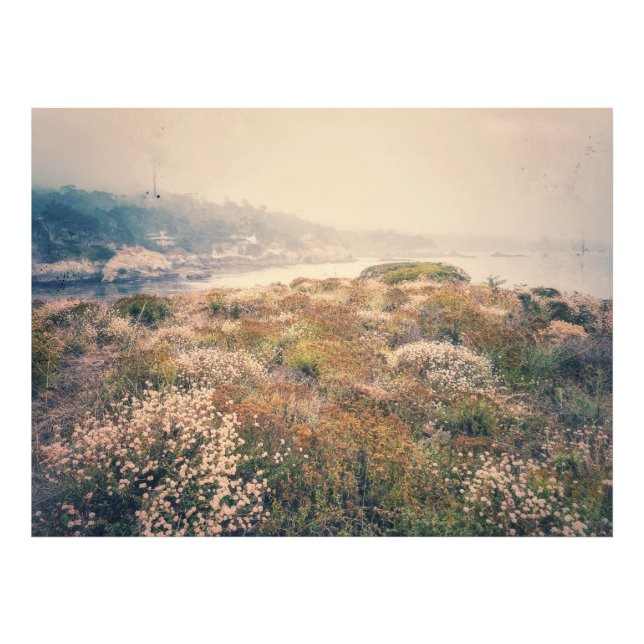 Coastal Wildblommor Fototryck (Framsidan)