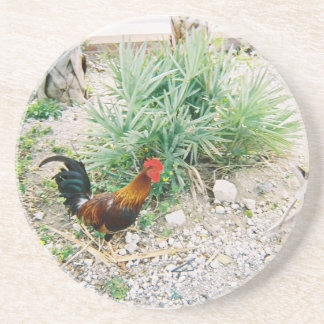 Coaster_Rooster Underlägg Sandsten