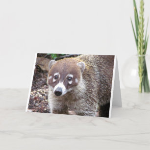 Coatihälsningkort Kort
