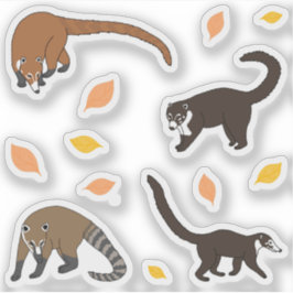 Coatis Klistermärken