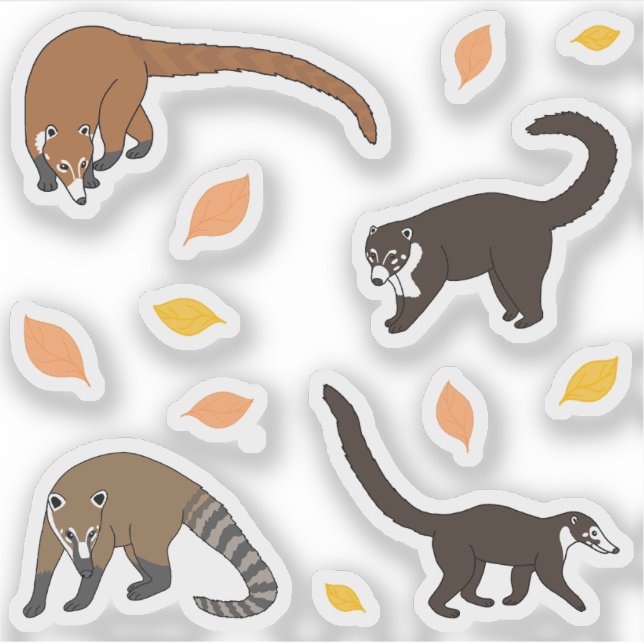 Coatis Klistermärken (Framsida)