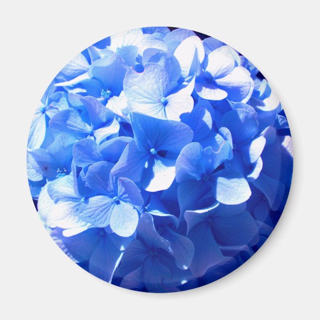 Cobalt Blue Hydrangea Magnet (Framsidan)