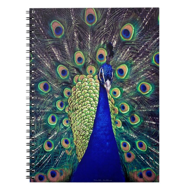 Cobalt Blue Peacock Anteckningsbok (Framsidan)