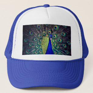 Cobalt Blue Peacock Keps