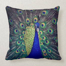 Cobalt Blue Peacock Kudde