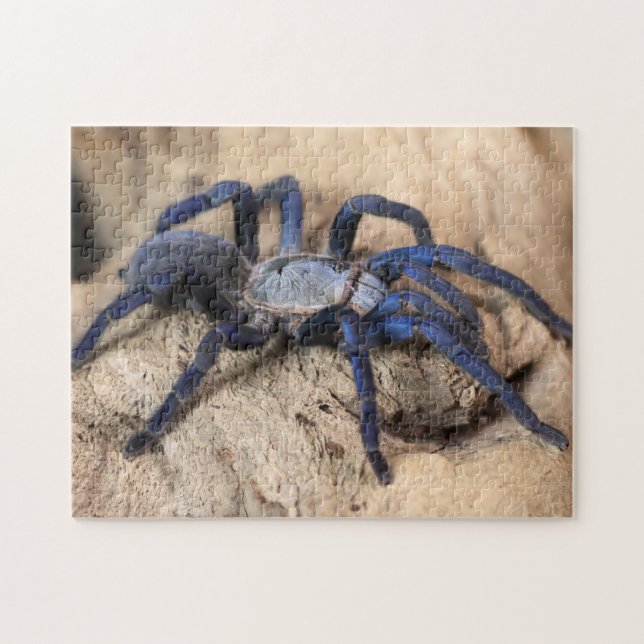 Cobalt Blue Tarantula Spider Pussel (Horisontell)