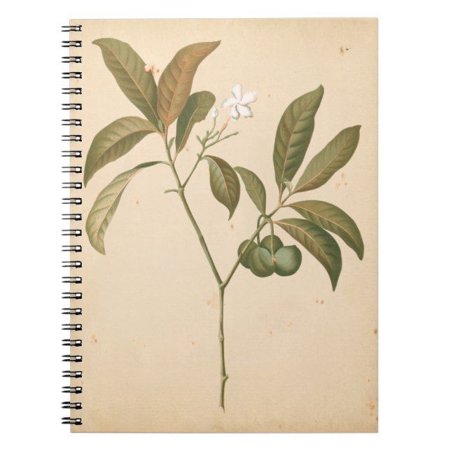 Cobalt Deco-panel I Anteckningsbok (Framsidan)