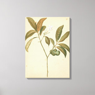 Cobalt Deco-panel I Canvastryck