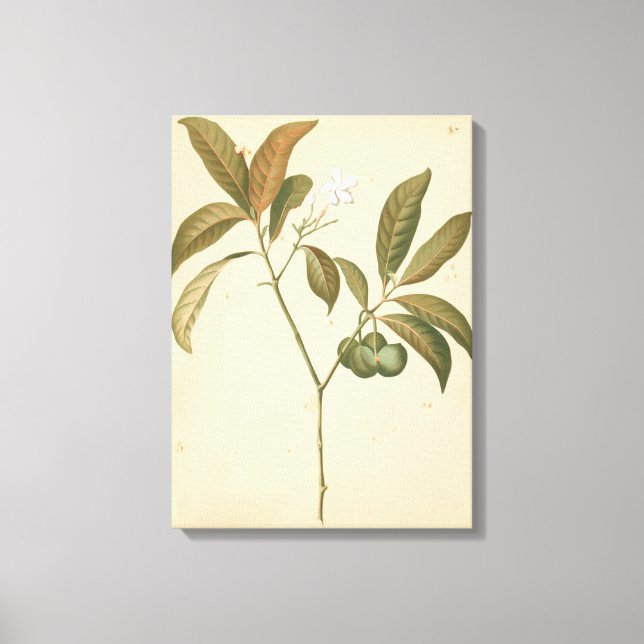 Cobalt Deco-panel I Canvastryck (Framsida)