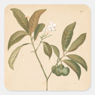 Cobalt Deco-panel I Fyrkantigt Klistermärke