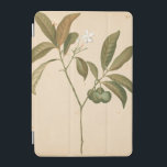 Cobalt Deco-panel I iPad Mini Skydd<br><div class="desc">Cobalt Deco Panel I av Chariklia Zarris</div>