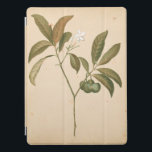 Cobalt Deco-panel I iPad Pro Skydd<br><div class="desc">Cobalt Deco Panel I av Chariklia Zarris</div>