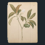Cobalt Deco-panel I iPad Pro Skydd<br><div class="desc">Cobalt Deco Panel I av Chariklia Zarris</div>