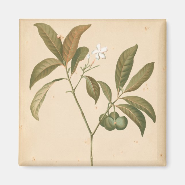 Cobalt Deco-panel I Magnet (Framsidan)