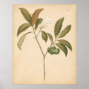 Cobalt Deco-panel I Poster