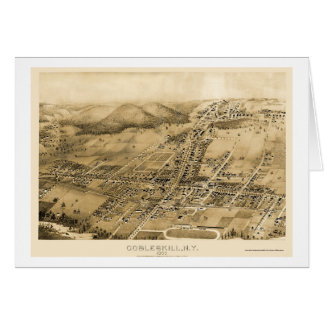 Cobbleskill panorama- karta för NY - 1883 Hälsningskort