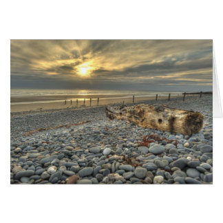 Cobblestone Beach Hälsningskort