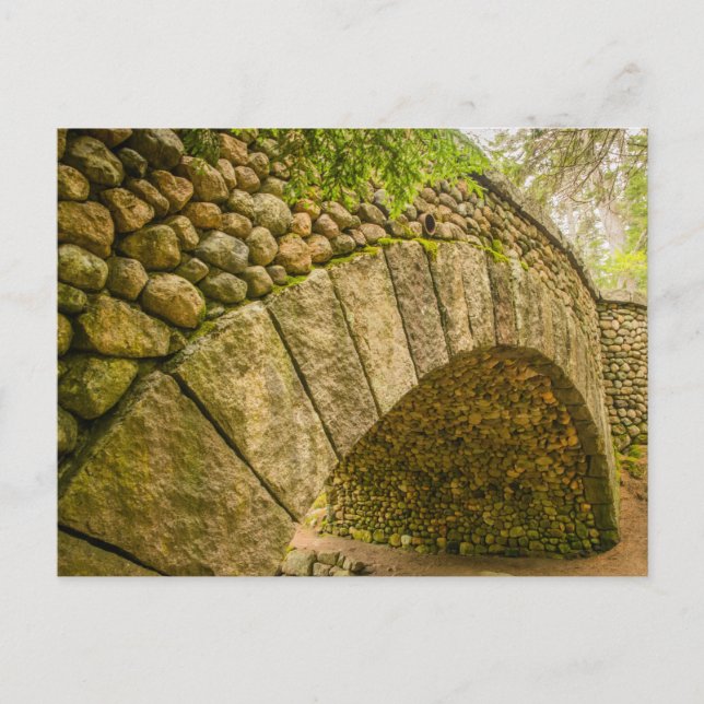 Cobblestone Bridge Acadia National Park Vykort (Framsida)