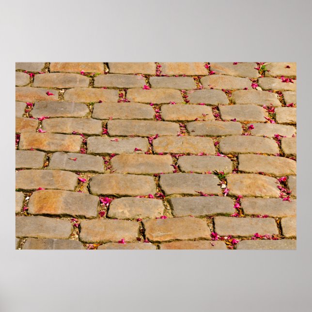 Cobblestone Walking Detail Poster (Framsidan)